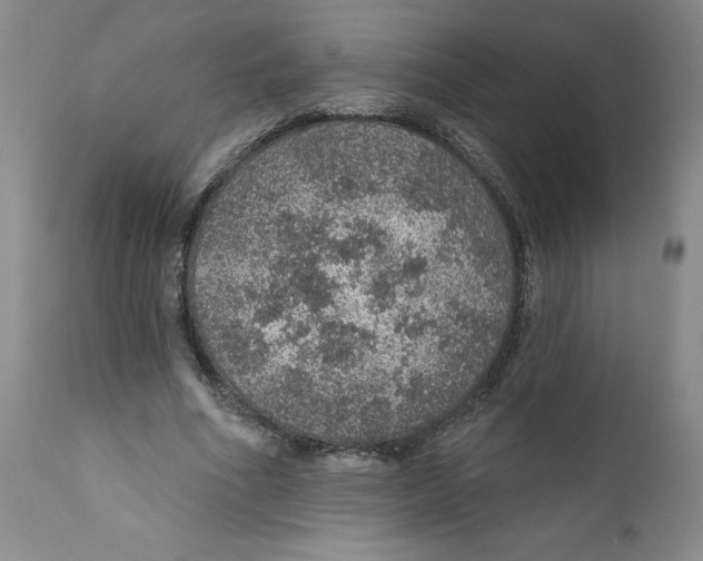 X0000112380586200909101348