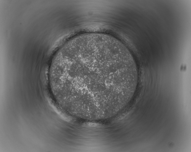 X0000112380590200909101348