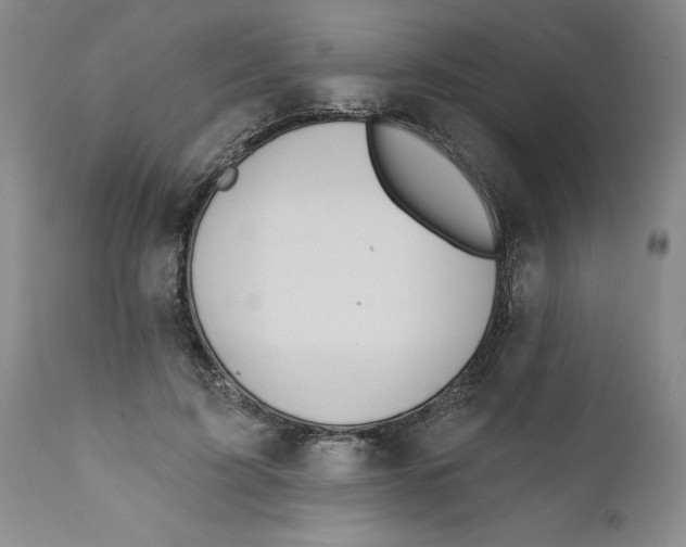 X0000112380595200909101348