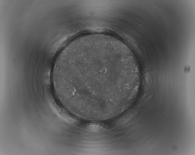 X0000112380596200909101348