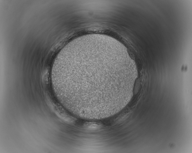 X0000112380597200909101348