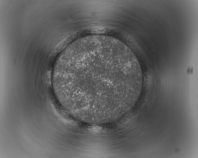 X0000112380598200909101348