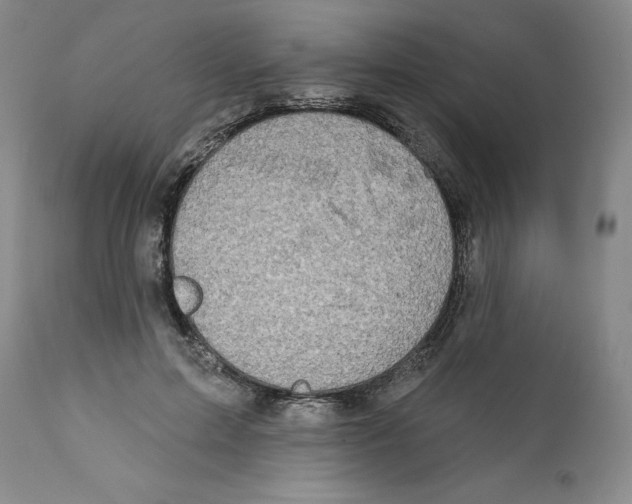 X0000112380599200909101348