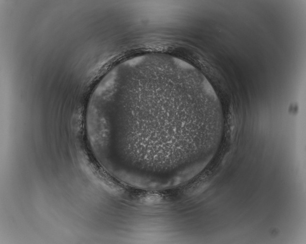 X0000112380600200909101348