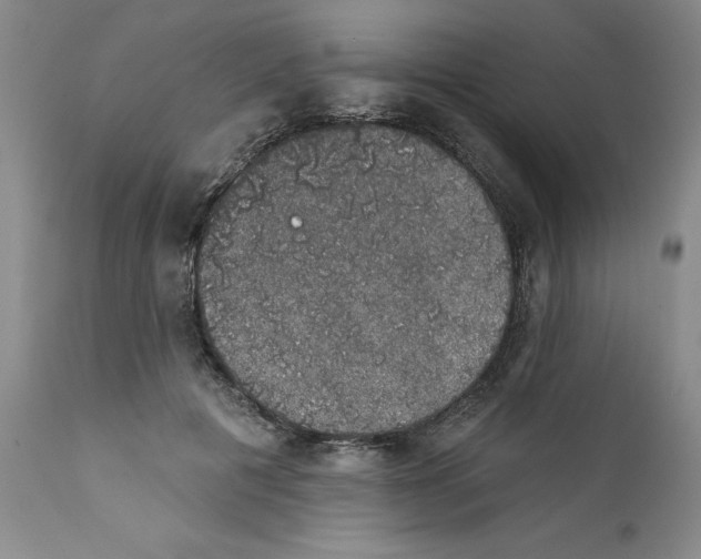 X0000112380601200909101348