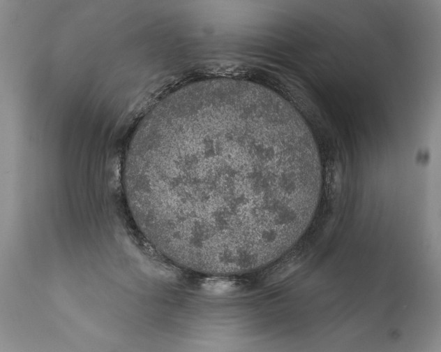 X0000112380602200909101348