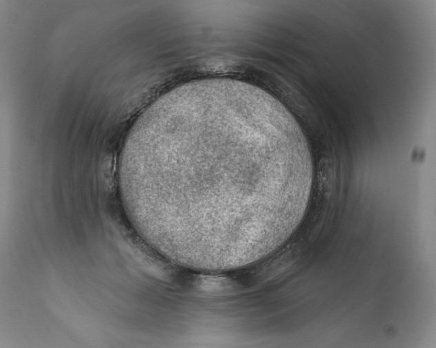 X0000112380605200909101348