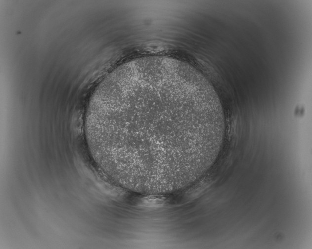 X0000112380606200909101348