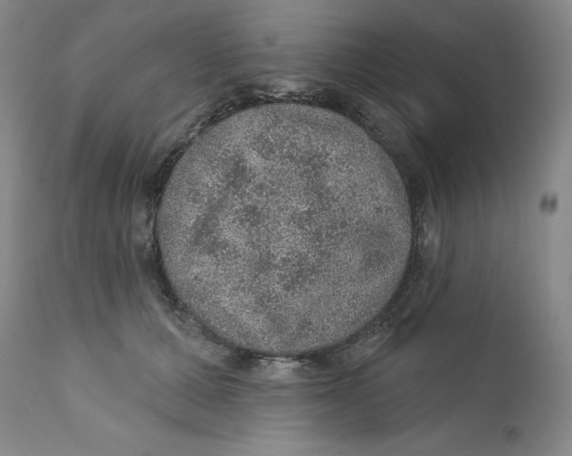 X0000112380607200909101348