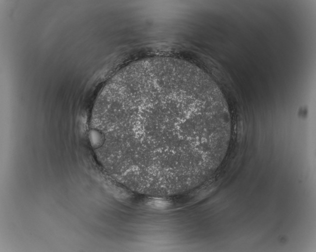 X0000112380610200909101348