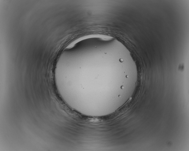 X0000112380611200909101348