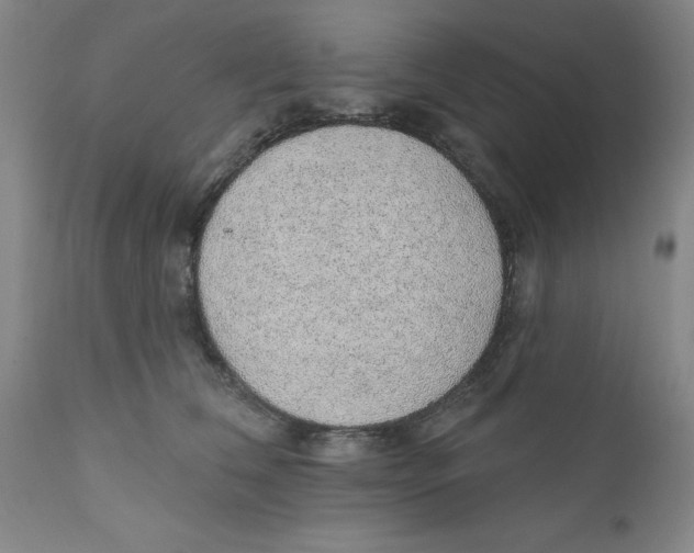 X0000112380612200909101348