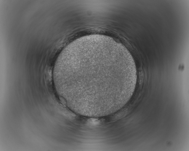 X0000112380613200909101348