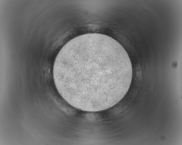 X0000112380615200909101348