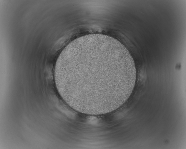 X0000112380616200909101348