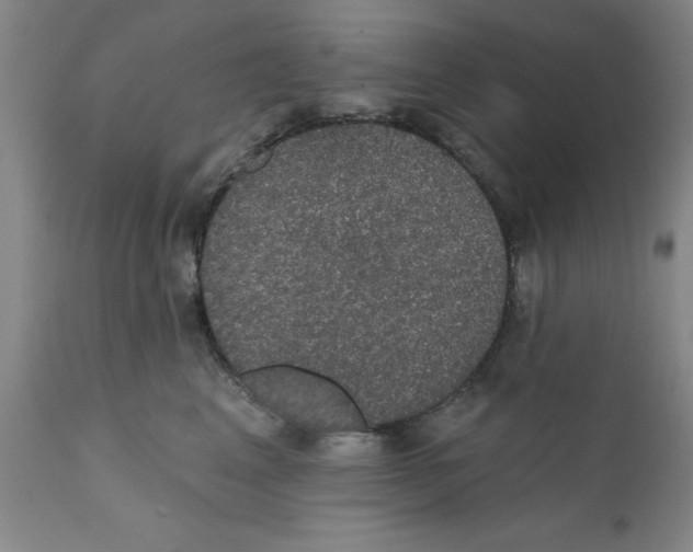 X0000112380617200909101348