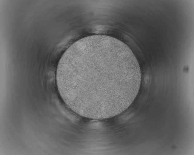 X0000112380620200909101348