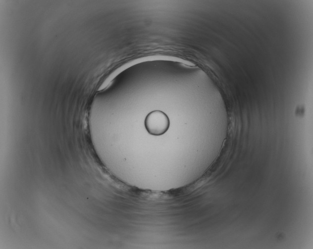 X0000112380621200909101348