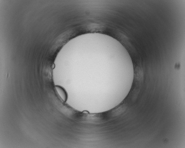 X0000112380622200909101348