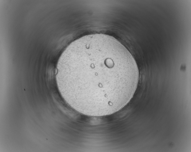 X0000112380623200909101348