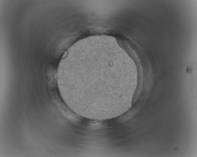 X0000112380624200909101348