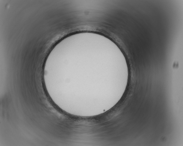 X0000112380625200909101347