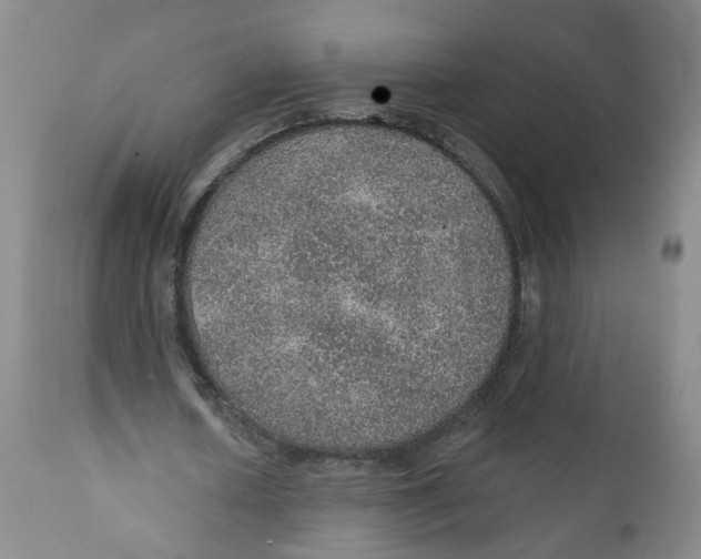 X0000112380626200909101347