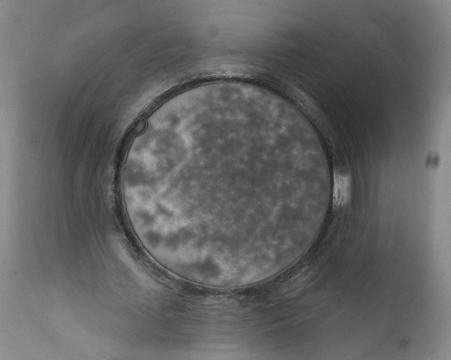 X0000112380627200909101347