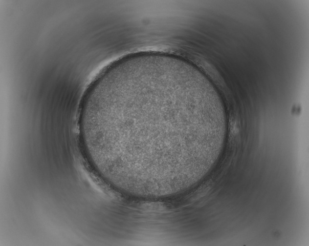 X0000112380628200909101347