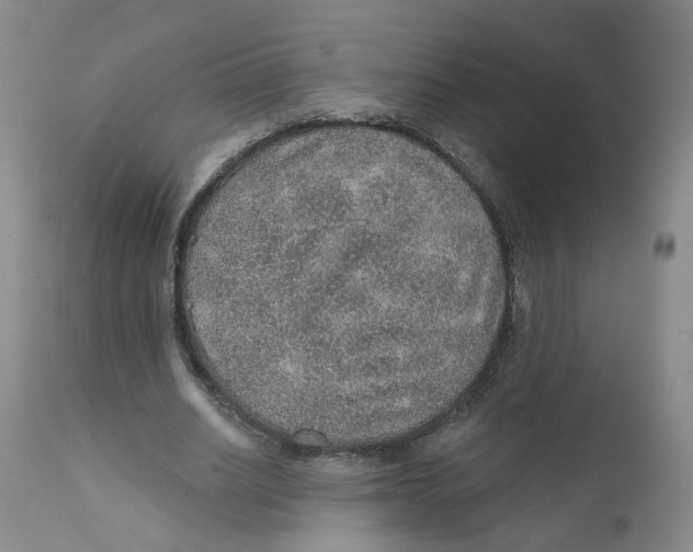 X0000112380630200909101347