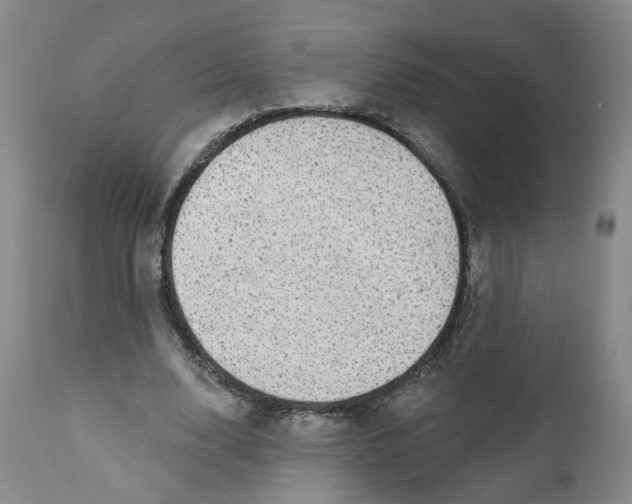 X0000112380632200909101347