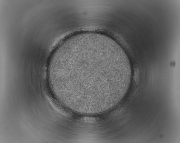 X0000112380636200909101347