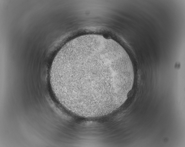 X0000112380637200909101347