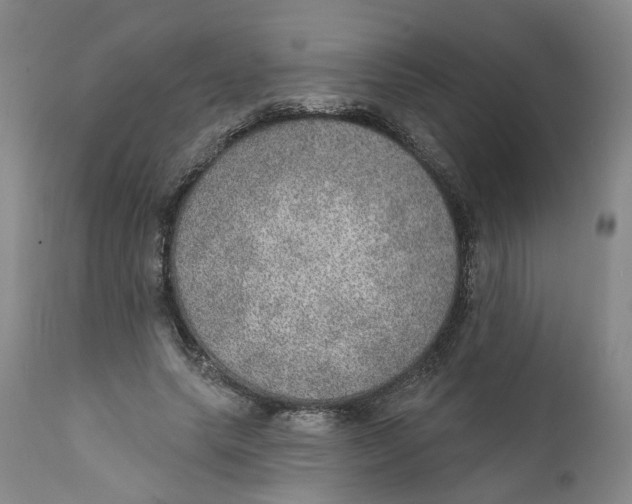 X0000112380639200909101347