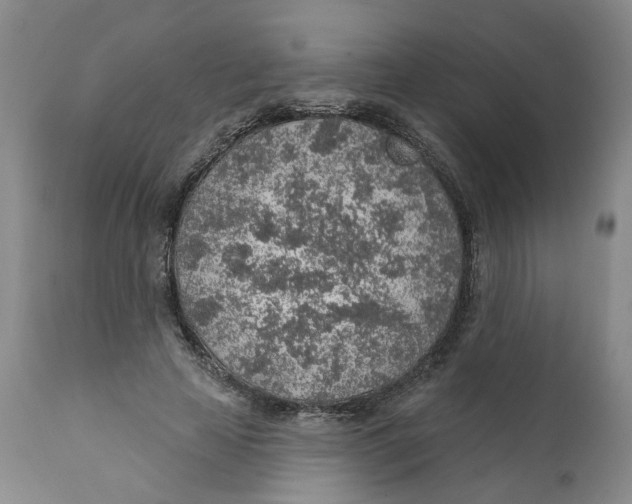 X0000112380641200909101347