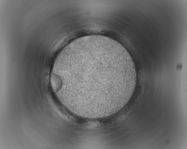 X0000112380642200909101347