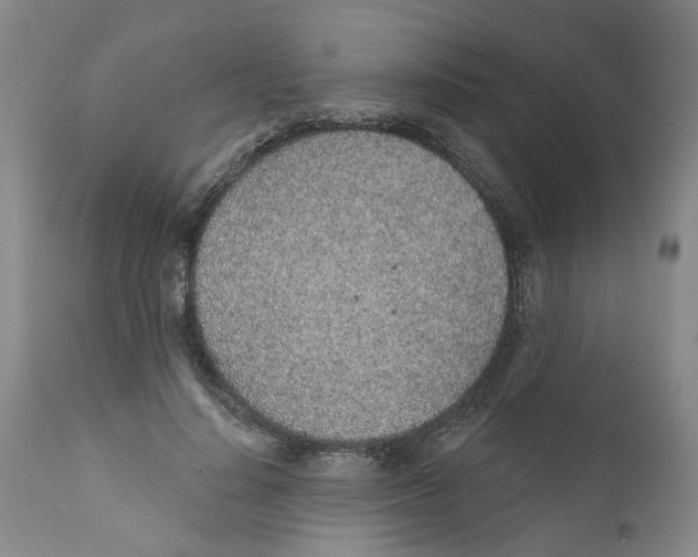 X0000112380644200909101347