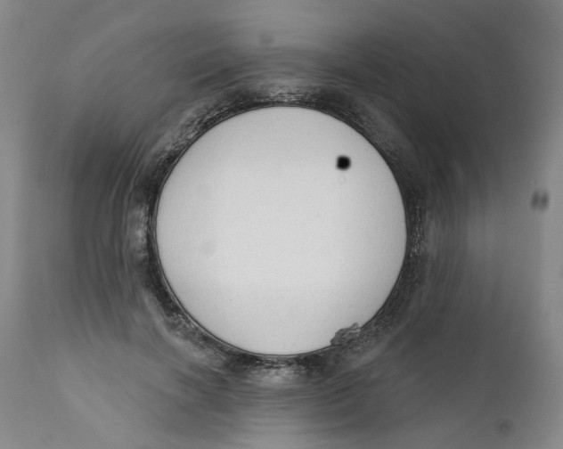 X0000112380646200909101347