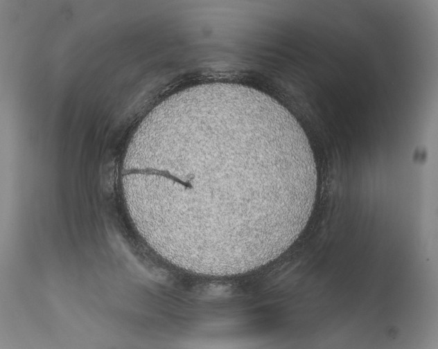 X0000112380647200909101347