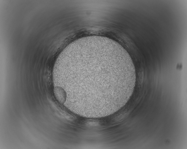 X0000112380653200909101347