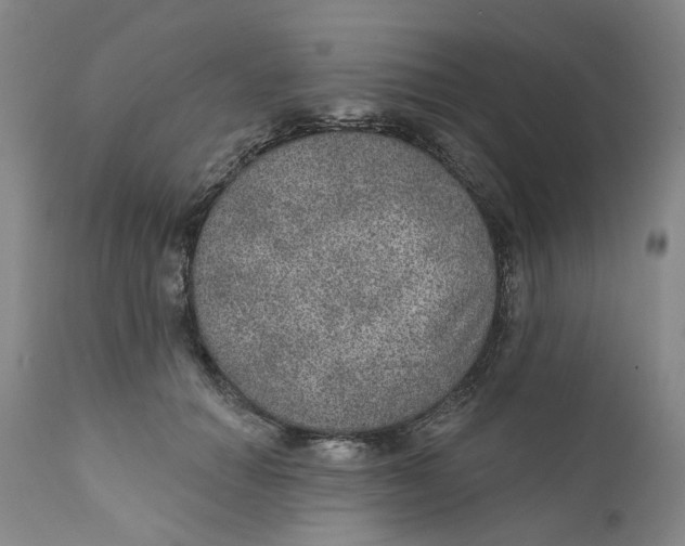 X0000112380654200909101347