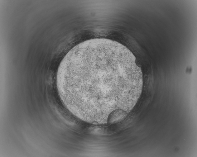 X0000112380655200909101348