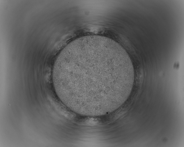 X0000112380656200909101348