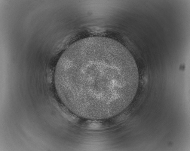 X0000112380658200909101348