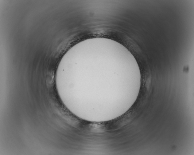 X0000112380660200909101348