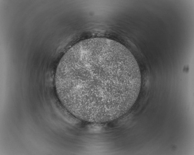 X0000112380661200909101348