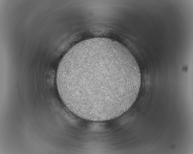 X0000112380664200909101348