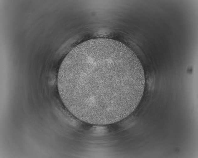 X0000112380665200909101348