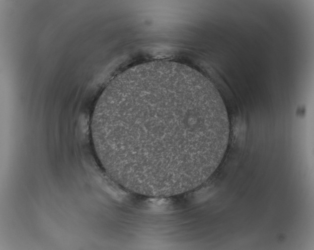 X0000112380667200909101348