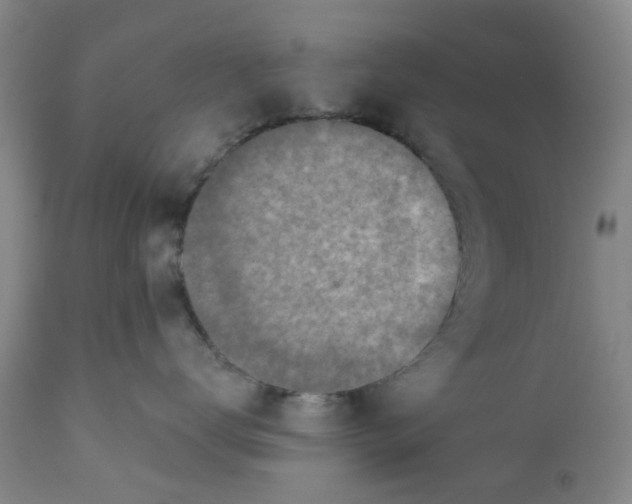 X0000112380672200909101348